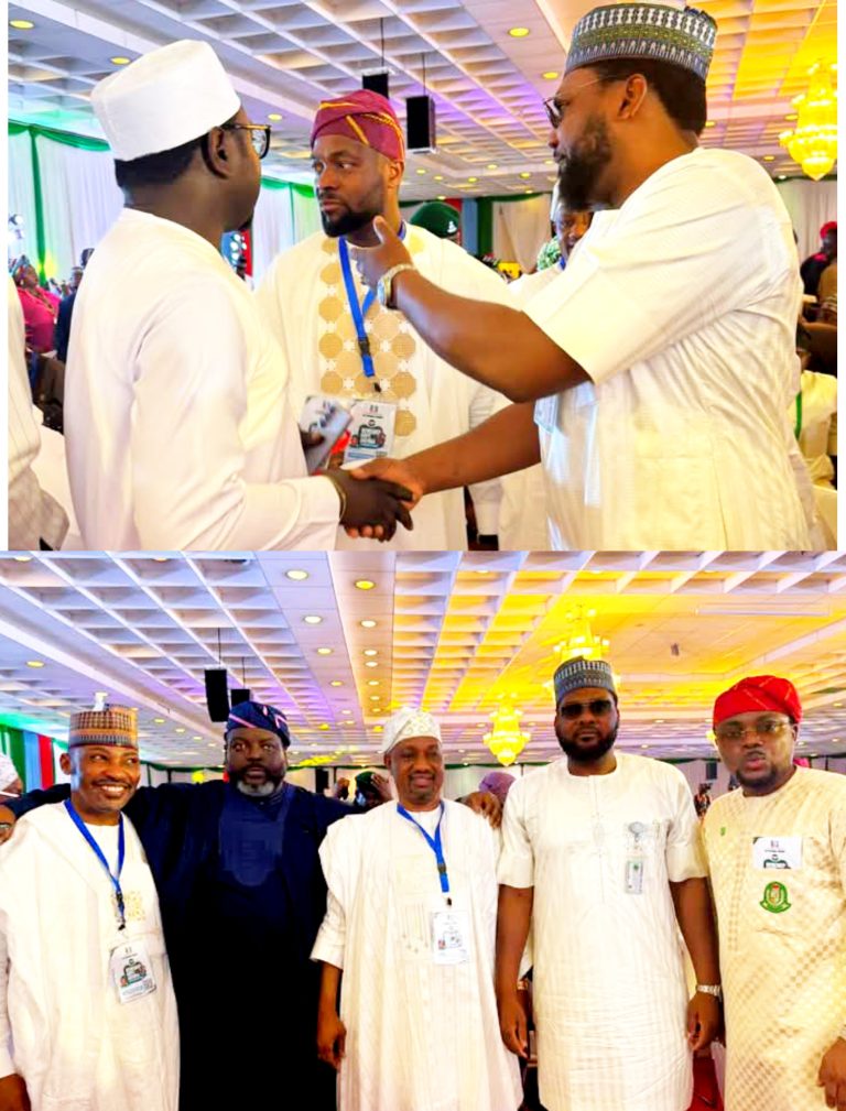 Dr Abdullahi Mustapha DG Energy Commission Attended APC National Summit.