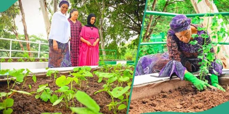 The Renewed Hope Initiative of Oluremi Tinubu!     Sen.Oluremi Tinubu Distributes Agricultural Inputs To 300 Farmers In Niger State